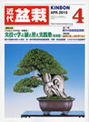 月刊「近代盆栽」 2010年4月号